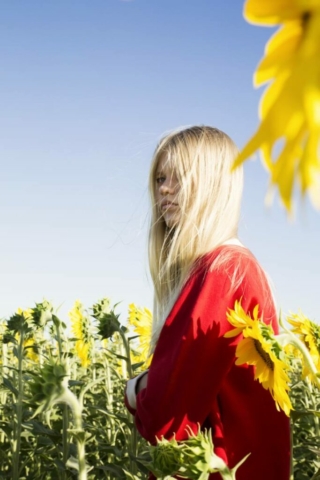 Girasoles_07
