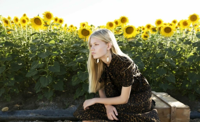 Girasoles_08