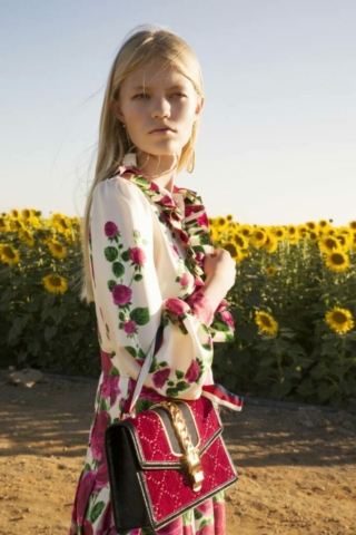 Girasoles_11